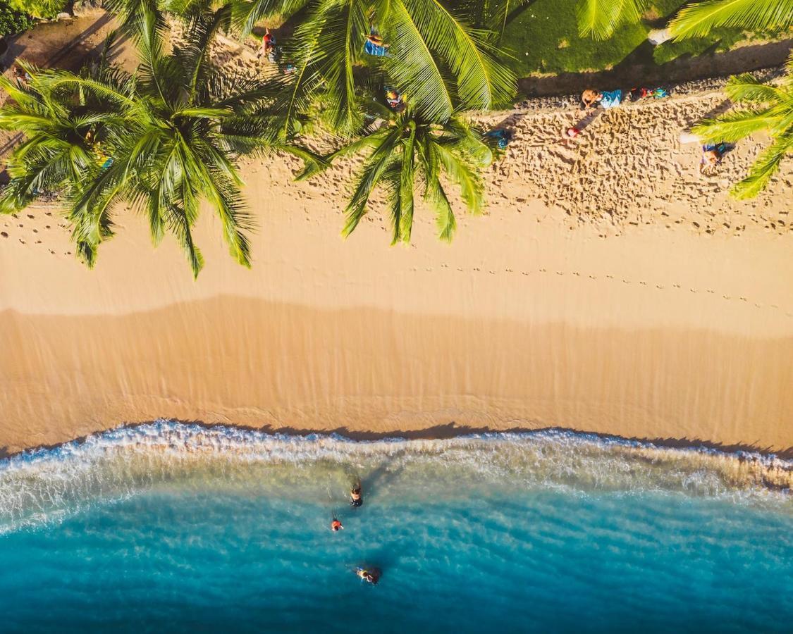 Imagine972 Martinique Bateau Hotel A Quai Le Marin 3 Cabines 3 Salles De Bains 6 Pers Maxi Eksteriør billede