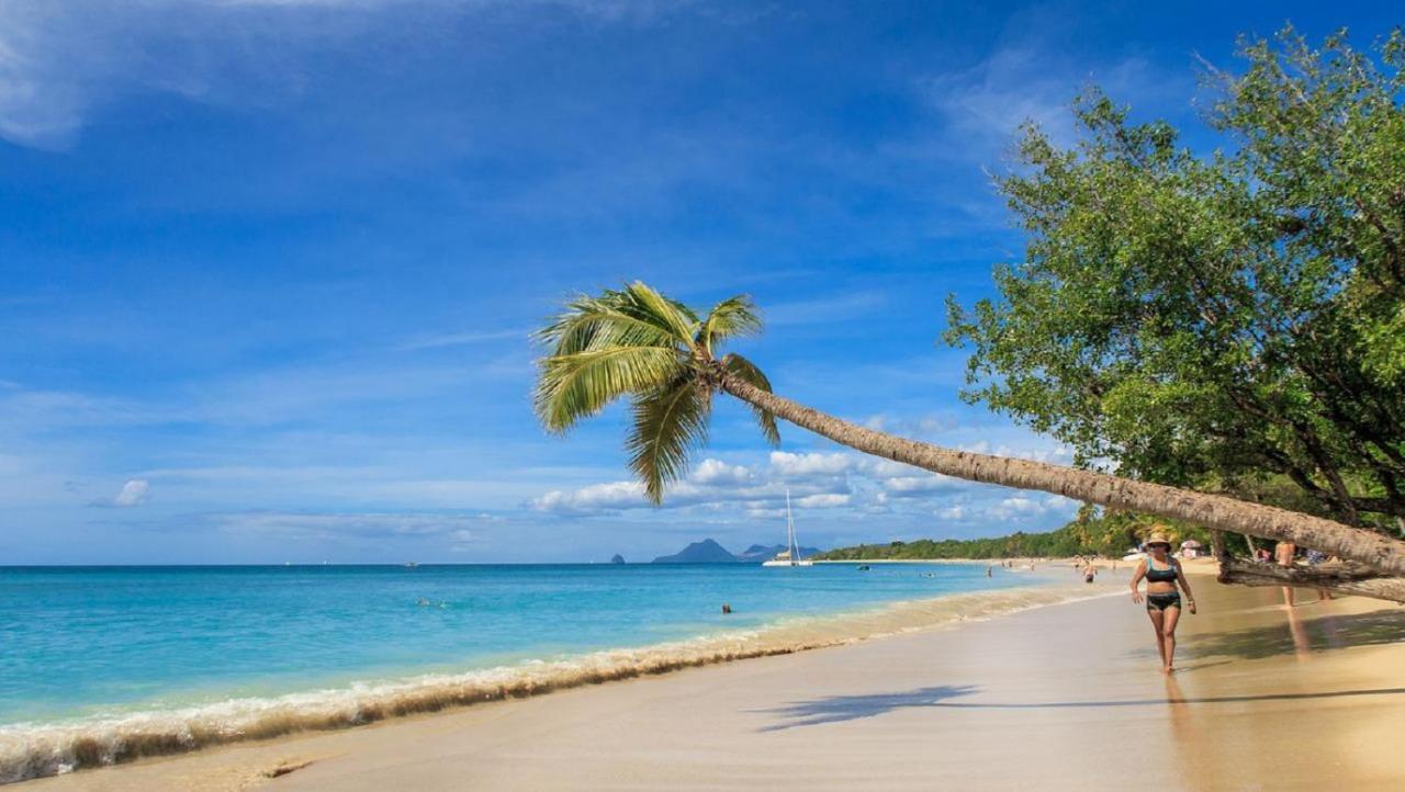 Imagine972 Martinique Bateau Hotel A Quai Le Marin 3 Cabines 3 Salles De Bains 6 Pers Maxi Eksteriør billede
